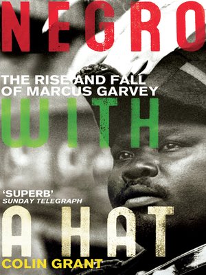 cover image of Negro with a Hat